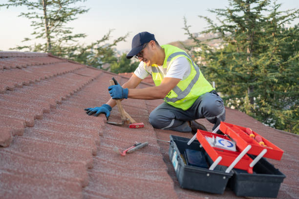 Best Shingle Roofing Installation  in Stockton, KS