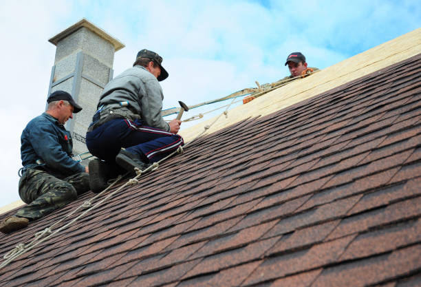 Professional Roofing Contractor in Stockton, KS