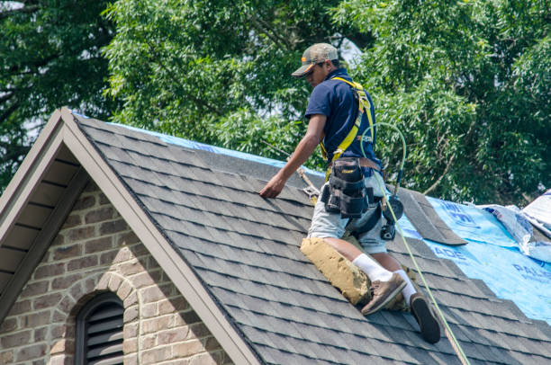 Best Metal Roofing Contractor  in Stockton, KS